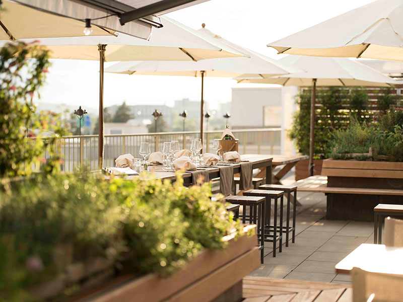 NOA Restaurant Bar Grill