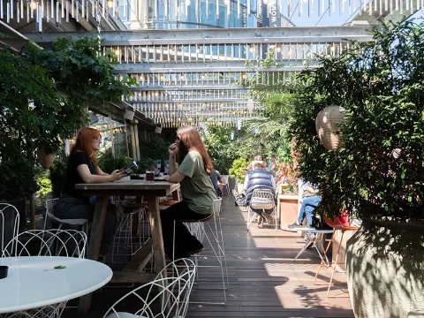 Hiltl Dachterrasse