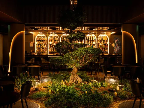 Sky Bonsai Bar