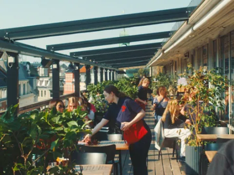 ILLUM Rooftop