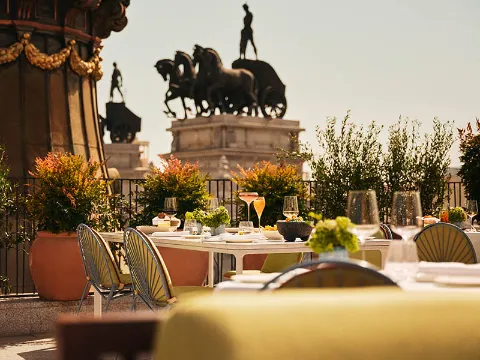 Dani Brasserie